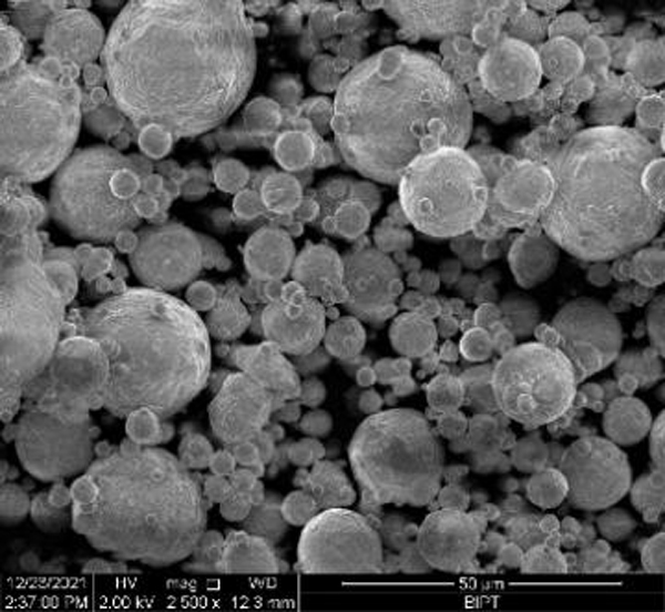 我司球形蜡微粉